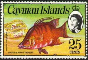 Colnect-3680-226-Hogfish-Lachnolaimus-maximus-Treasure-Chest-.jpg