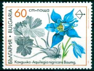 Colnect-4290-223-Medicinal-Plants---Aquilegia-nigricans.jpg