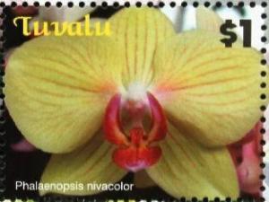 Colnect-6264-339-Phalaenopsis-nivacolor.jpg