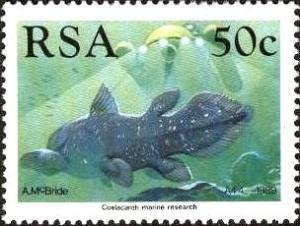 Colnect-824-080-West-Indian-Ocean-coelacanth-Latimeria-chalumnae-Submarin.jpg