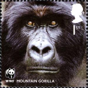 Colnect-911-030-Mountain-Gorilla-Gorilla-beringei-beringei.jpg