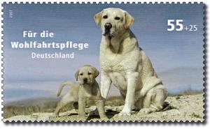 DPAG_2007_2632_Labrador_Hunde.jpg