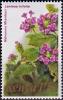 Colnect-4149-689-Lantana-trifolia.jpg