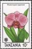 Colnect-3758-895-Phalaenopsis-lipperose.jpg