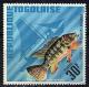 Colnect-1650-074-Redbelly-Tilapia-Tilapia-melanopleura.jpg