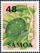 Colnect-3637-721-Sasalapa-Annona-muricata.jpg