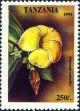 Colnect-4311-970-Allamanda-cathartica.jpg