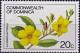 Colnect-4766-976-Allamanda-buttercup.jpg