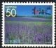 Colnect-817-664-Lavender-field.jpg