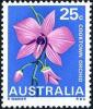 Colnect-5468-503-Vappodes-phalaenopsis---Cooktown-Orchid.jpg