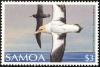 Colnect-1766-841-Short-tailed-Albatross-Phoebastria-albatrus.jpg