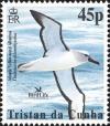 Colnect-4568-623-Atlantic-Yellow-nosed-Albatross-Thalassarche-chlororhyncho%E2%80%A6.jpg