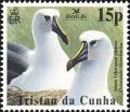 Colnect-4568-621-Atlantic-Yellow-nosed-Albatross-Thalassarche-chlororhyncho%E2%80%A6.jpg