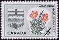 Colnect-683-302-Alberta-Wild-Rose.jpg