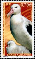 Colnect-888-685-Wandering-Albatross-Diomedea-exulans.jpg