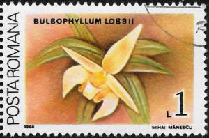 Colnect-3197-917-Bulbophyllum-lobbii.jpg