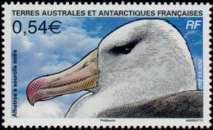 Colnect-888-811-Black-browed-Albatross-Diomedea-melanophris.jpg