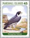 Colnect-3671-479-Peregrine-Falcon%C2%A0%C2%A0%C2%A0%C2%A0Falco-peregrinus.jpg