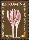 Colnect-4398-481-Colchicum-autumnale.jpg