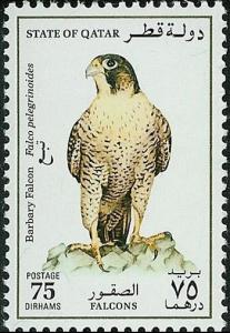 Colnect-745-806-Barbary-Falcon-Falco-pelegrinoides-.jpg