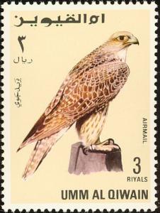 Colnect-1909-080-Gyrfalcon-Falco-rusticolus.jpg