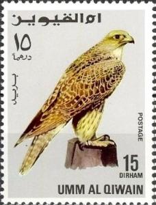 Colnect-3085-101-Gyrfalcon-Falco-rusticolus.jpg