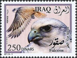 Colnect-4555-073-Gyrfalcon-Falco-rusticolus.jpg