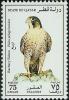 Colnect-745-806-Barbary-Falcon-Falco-pelegrinoides-.jpg