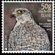 Colnect-5745-462-Gyrfalcon-Falco-rusticolus.jpg