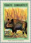 Colnect-2578-646-Wild-Boar-Sus-scrofa.jpg