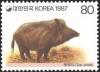 Colnect-2783-969-Wild-Boar-Sus-scrofa.jpg