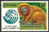 Colnect-4605-424-Golden-lion-tamarin.jpg