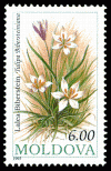 Stamp_of_Moldova_378.gif