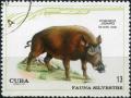 Colnect-2031-203-Wild-Boar-Sus-scrofa.jpg