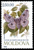 Stamp_of_Moldova_421.gif