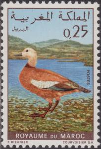 Colnect-1522-036-Ruddy-Shelduck-Tadorna-ferruginea.jpg