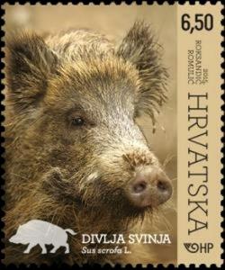 Colnect-2650-384-Wild-Boar-Sus-scrofa.jpg