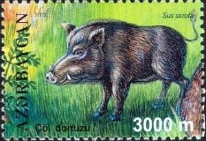 Colnect-1598-261-Wild-Boar-Sus-scrofa.jpg