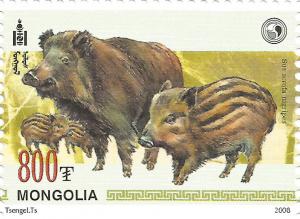 Colnect-1923-148-Wild-Boar-Sus-scrofa.jpg