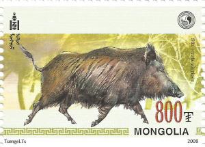 Colnect-1923-149-Wild-Boar-Sus-scrofa.jpg