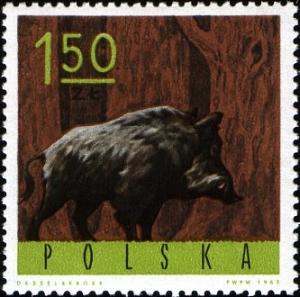 Colnect-2053-622-Wild-Boar-Sus-scrofa.jpg