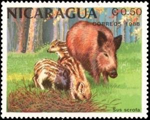 Colnect-2754-597-Wild-Boar-Sus-scrofa.jpg