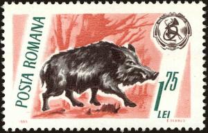 Colnect-5046-492-Wild-Boar-Sus-scrofa.jpg