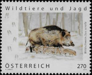 Colnect-5629-435-Wild-Boar-Sus-scrofa.jpg