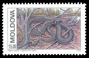 Stamp_of_Moldova_142.gif