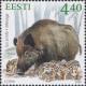 Colnect-6022-415-Wild-Boar-Sus-scrofa.jpg