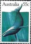 Colnect-1042-596-Blue-Whale-Balaenoptera-musculus.jpg