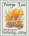 Colnect-162-260-Chanterelle-Cantharellus-cibarius.jpg