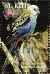 Colnect-1659-400-Pale-headed-Rosella.jpg