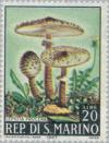 Colnect-171-555-Lepiota-procera.jpg